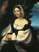 CORNELISZ VAN OOSTSANEN, Jacob Portrait of a Gentlewoman df china oil painting reproduction